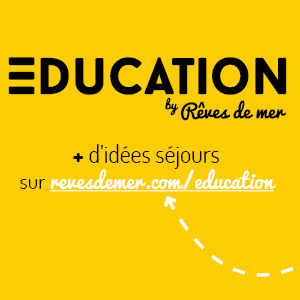 Education by Rêves de Mer